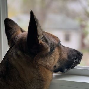 Meet your Posher, Joseph